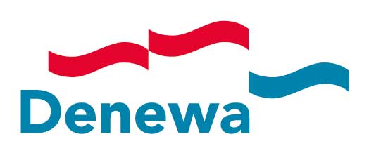 LogoDenewa2